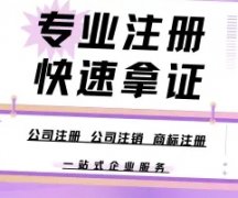 公司记账报税、代理记账、税务异常处理